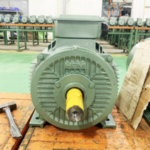 Động cơ điện 3 pha chân đế được ứng dụng trong hầu hết các thiết bị có cơ cấu dẫn động trong công nghiệp