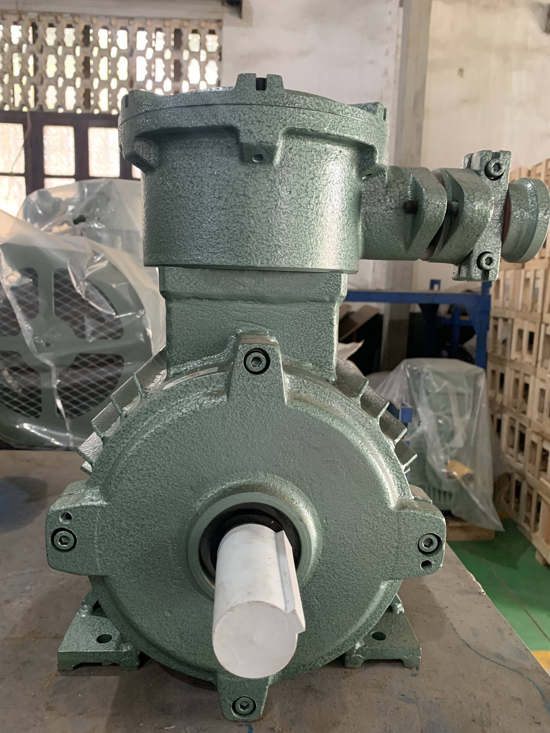 Động cơ điện phòng nổ 3 pha