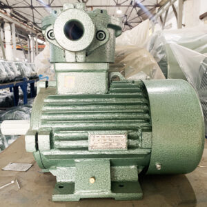 Động cơ điện phòng nổ kiểu chân đế