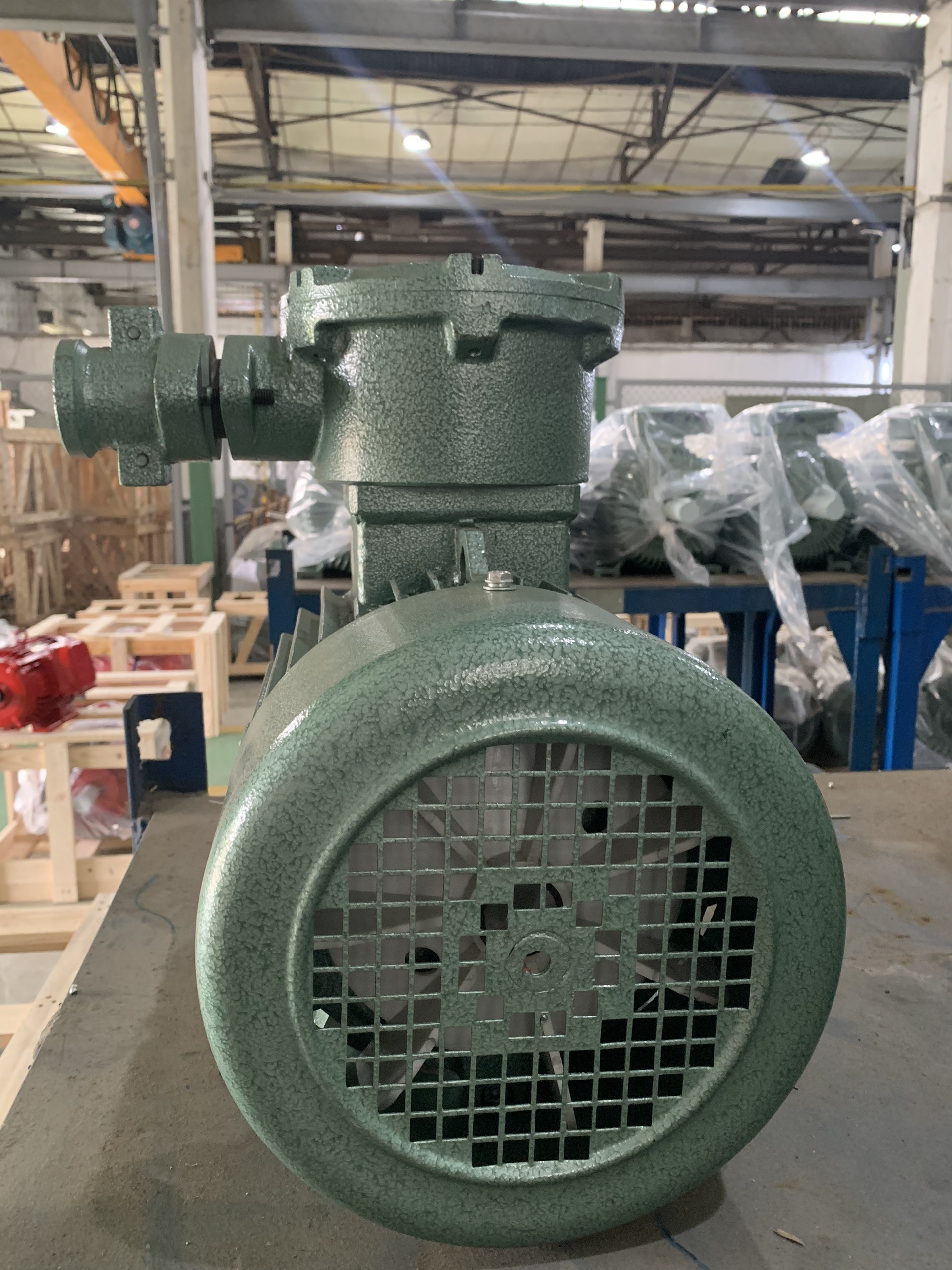 Động cơ phòng nổ không đồng bộ